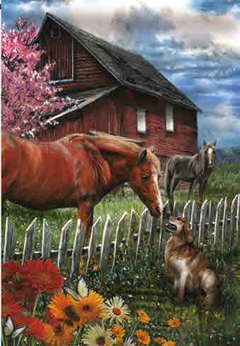 CHATTING WITH THE NEIGHBORS