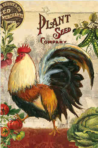 FARM ROOSTER