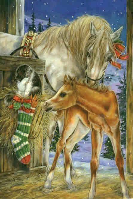 FOAL'S FIRST CHRISTMAS