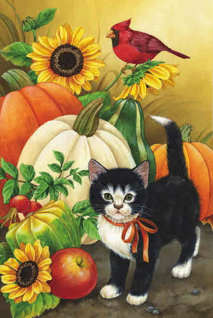 GOURDS AND KITTEN